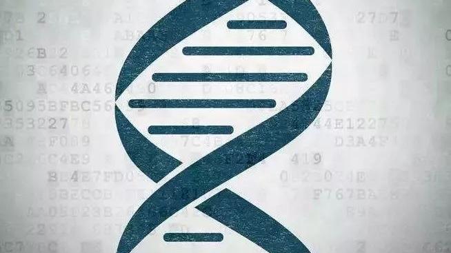 太空垃圾 CRISPR-Cas应用前景，科学家介绍，其增强反应包括乙肝领域