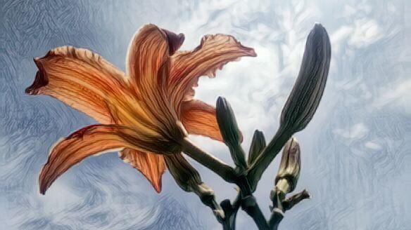 红鸾|总有一些句子，滴墨成伤