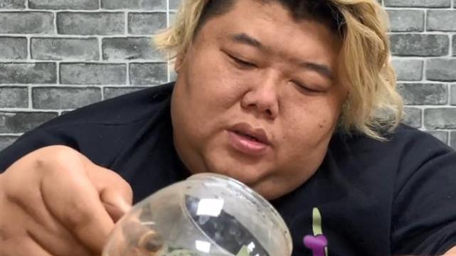 医生 600斤胖猴仔状况堪忧，医生建议做切胃，不及时治疗随时会出事