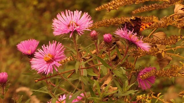 卿月兔|9月初，改正缺点，包容爱人，真爱深沉，坚定信念，未来情深意浓