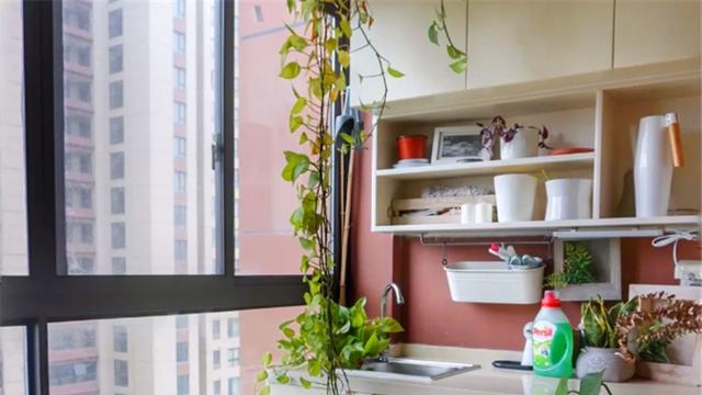 想在阳台安装洗衣柜，有必要吗？听听专业人士的看法