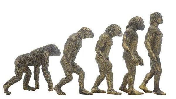 人类的起源 人类的起源到底是怎样的？真的是由猿进化而来的吗？本文给你揭