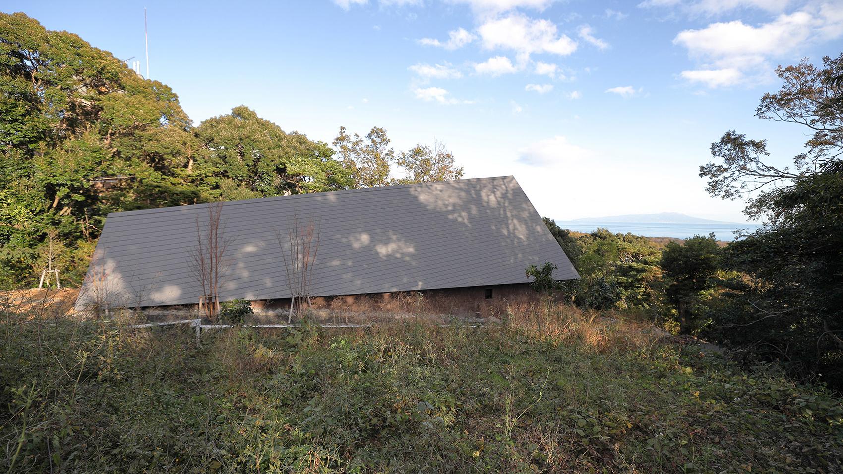 坐落在悬崖边的住宅：透过树林，欣赏远处的海景