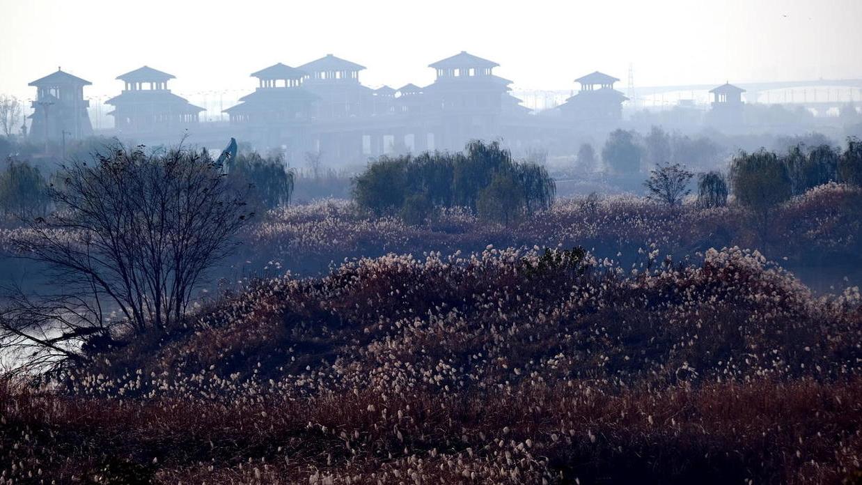 西红柿|和老同学去逛河堤路照片【严建设】
