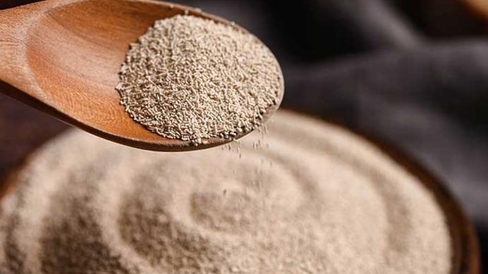 面食|天天吃酵母发酵的面食，对身体有害吗？今天告诉你答案，涨知识了