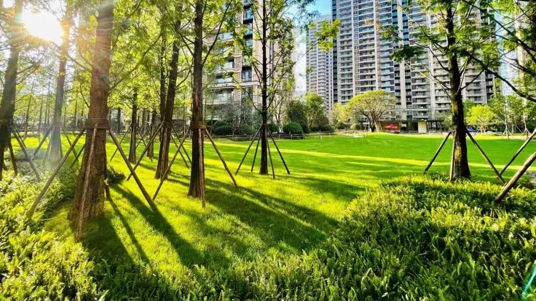 毛坯VS精装房，毛坯精装修的利弊