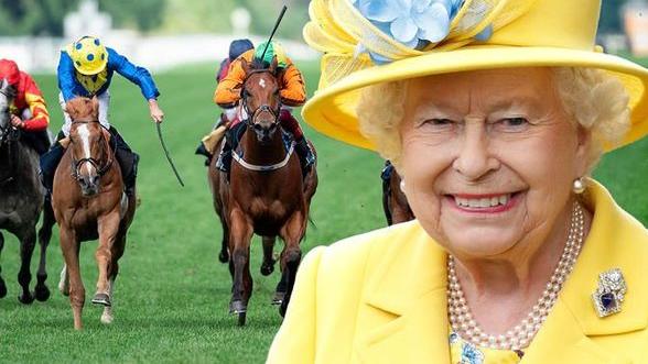 英女王马造型的胸针好飒，是她90岁的生日礼物，可惜一次都没戴过