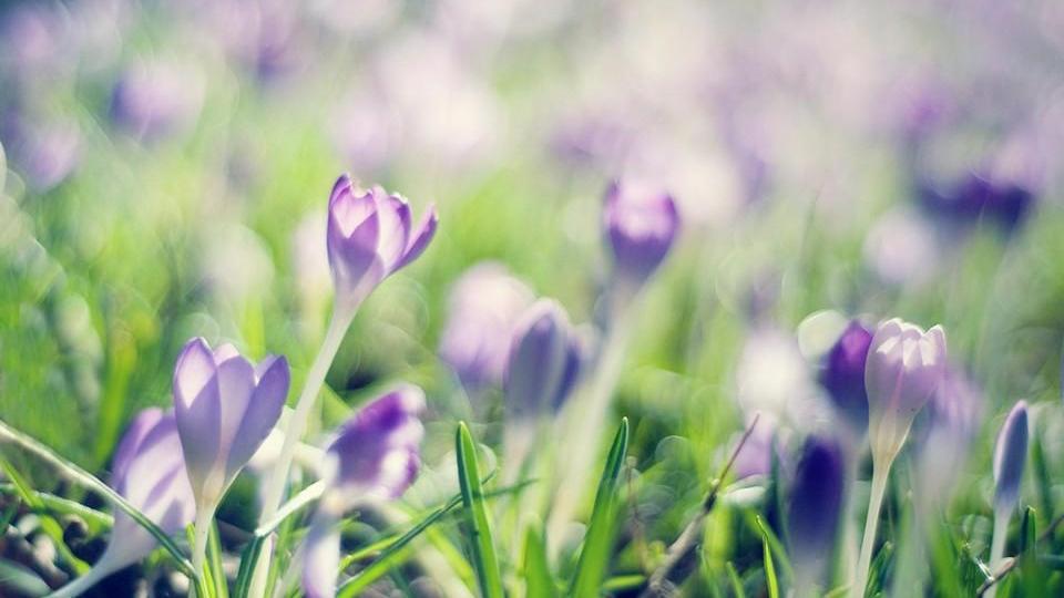 遇见小媛 撩男人时，聪明的女人会“撩心”，笨女人却反着来