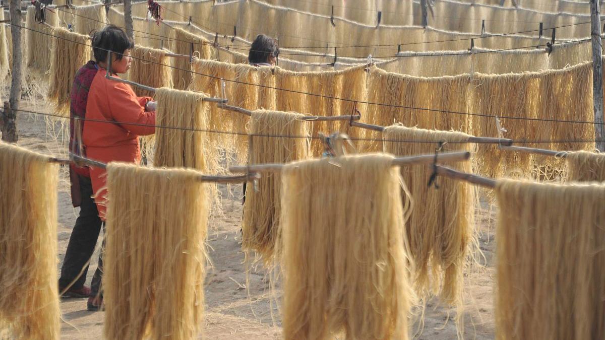 粉条|冬天买粉条，如何辨别是否添加明胶？掌握这3个小技巧，轻松辨别