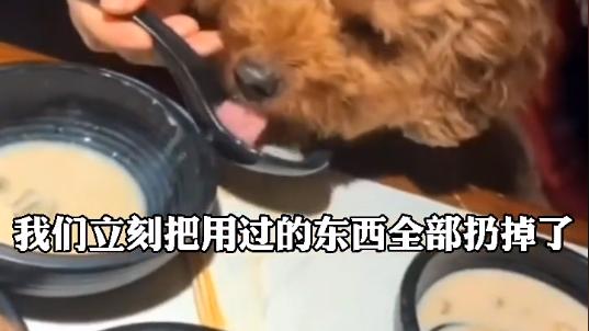 数字人民币 江苏女子在饭店吃饭刻意隐瞒携带宠物，等服务员离开就用餐勺喂