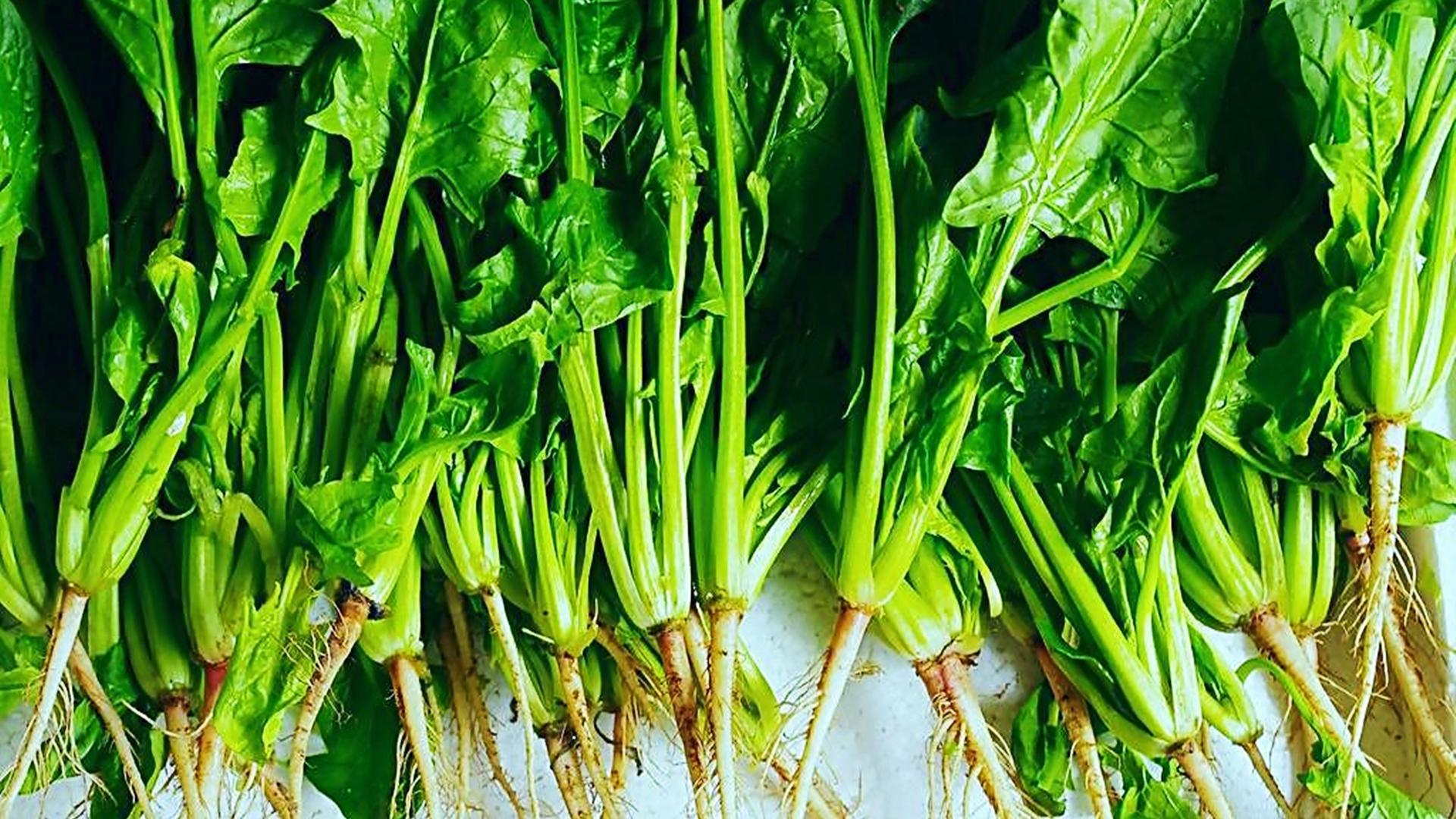 菠菜|菠菜胡萝卜淋入2个鸡蛋，第一次见这种做法，不炒不凉拌，超美味