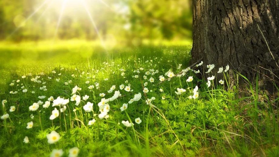 末小北|男人结婚以后，尽量远离这两个场合，避免被误会