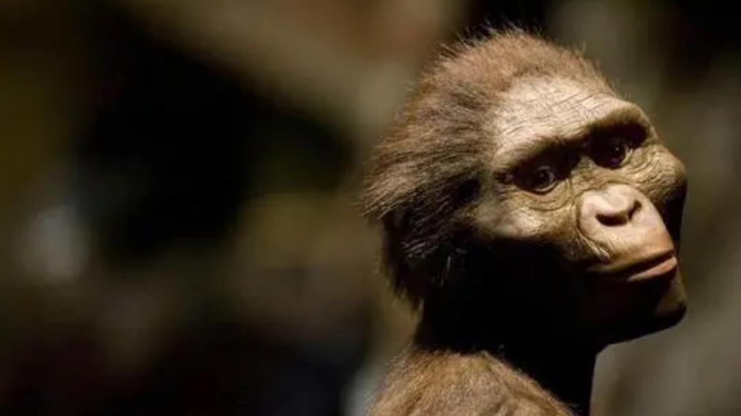 情微说 4000年前的“飞机”、20亿年前的“核反应堆”，周期性人类文明？