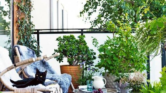 如何将阳台改造成花园？给自己圆一个花园梦