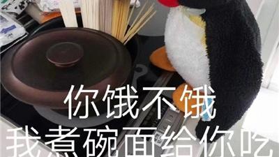 桉月|表情包：呆萌小企鹅文字聊天可爱的表情, 我知道错了