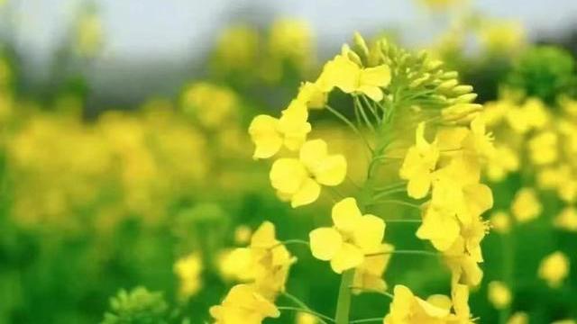 老伴儿风停夜泊聊情感|异性之间，所谓“纯洁”的关系，不过是这四个字