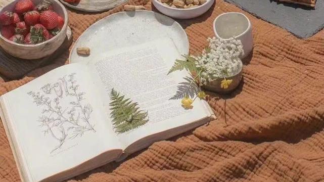 星座小白 双鱼座和哪三个星座在一起最甜