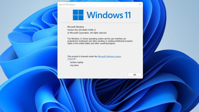 Windows11|Windows 11\来了\你会升级吗