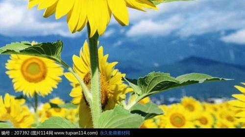 硕德闲情|朋友，如果你想创业、经商、工作这六个道理所有影响和帮助的