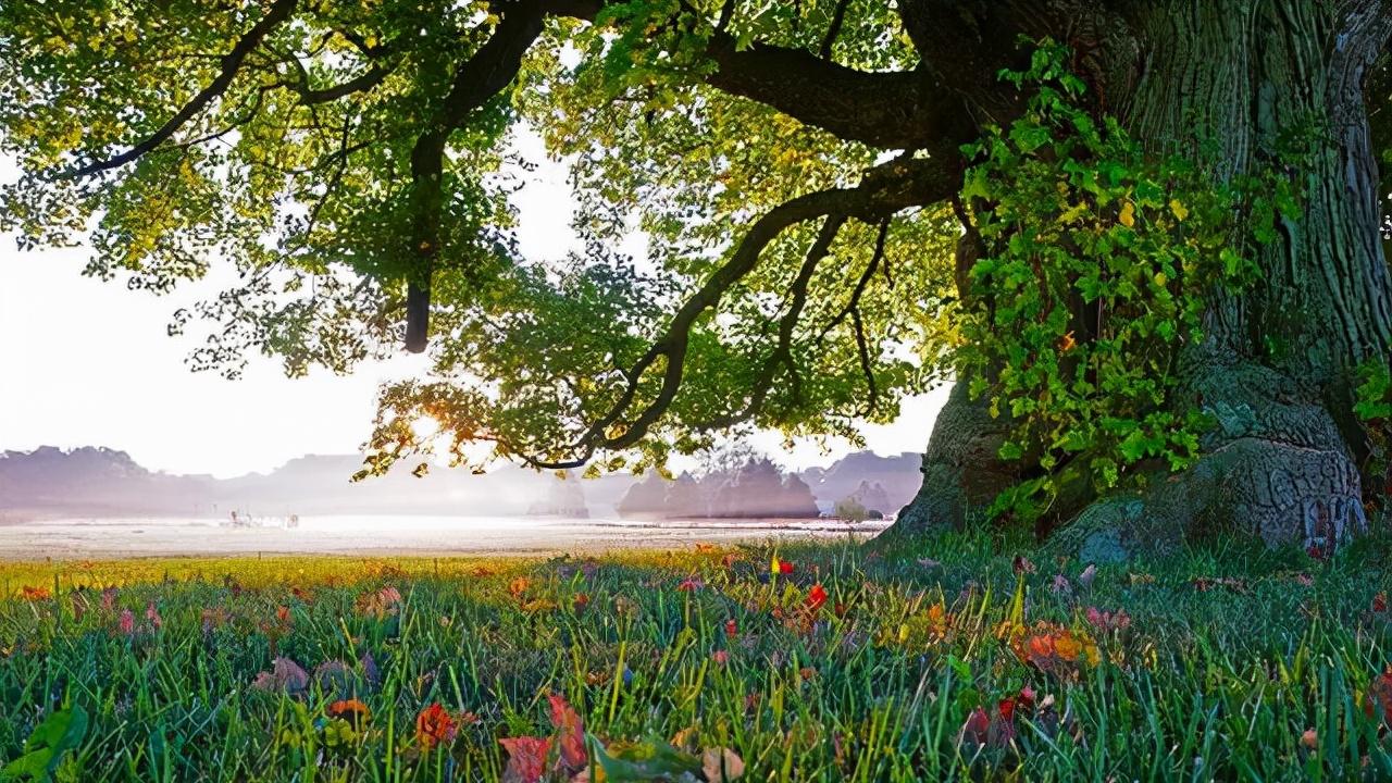 情感说心事|人这一生，什么最重要？心态最重要！