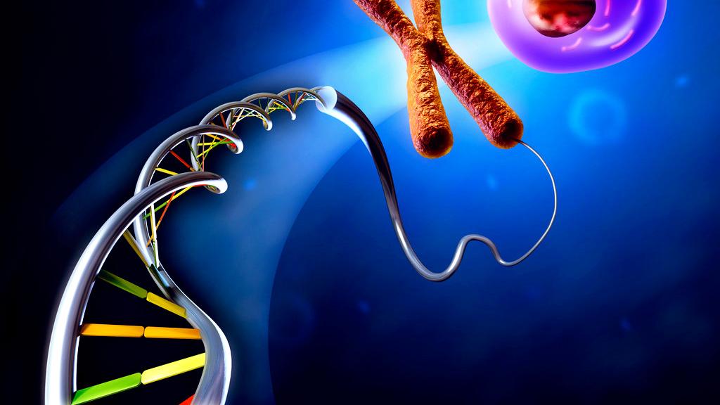 科学家 小鼠记忆遗传实验发人深思：是谁关闭了我们90%的DNA？