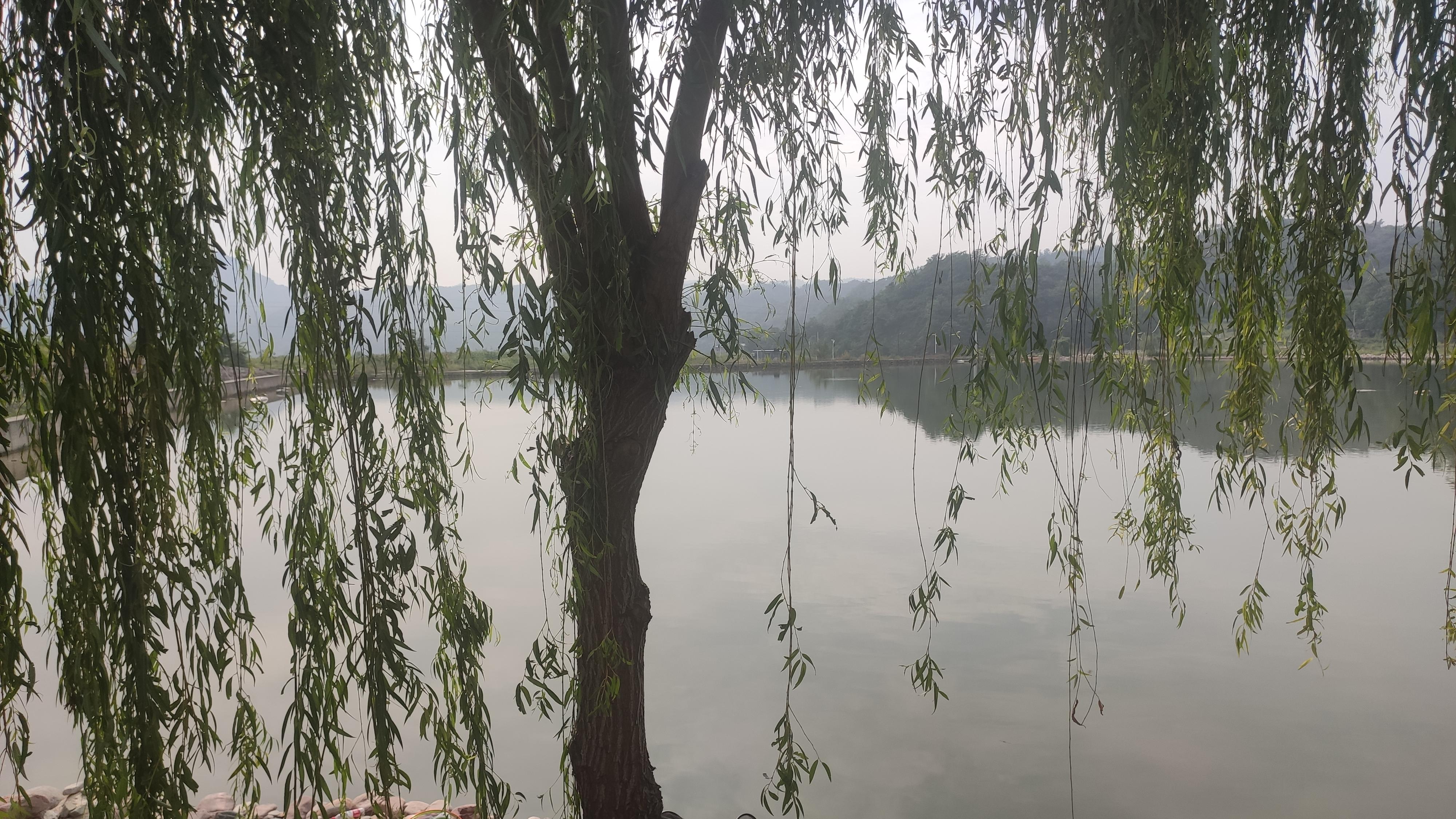 虾仁|你钓过有柴油味的鱼吗？有柴油味是怎么回事？这样的鱼能吃吗？