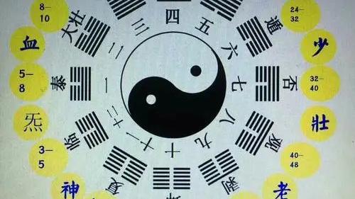 诚然情感之事 生辰八字：大运，流年是重天干还是重地支？