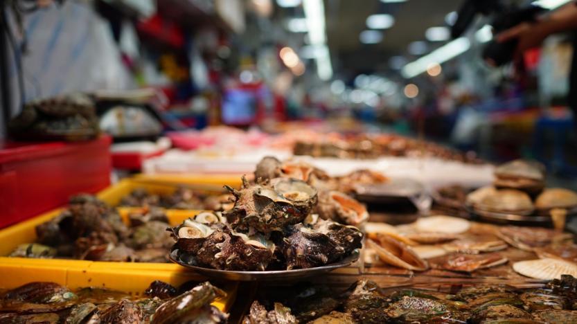 火锅|3种海鲜价格贵，重金属多寄生虫多，老渔民从不吃，但很多人爱买