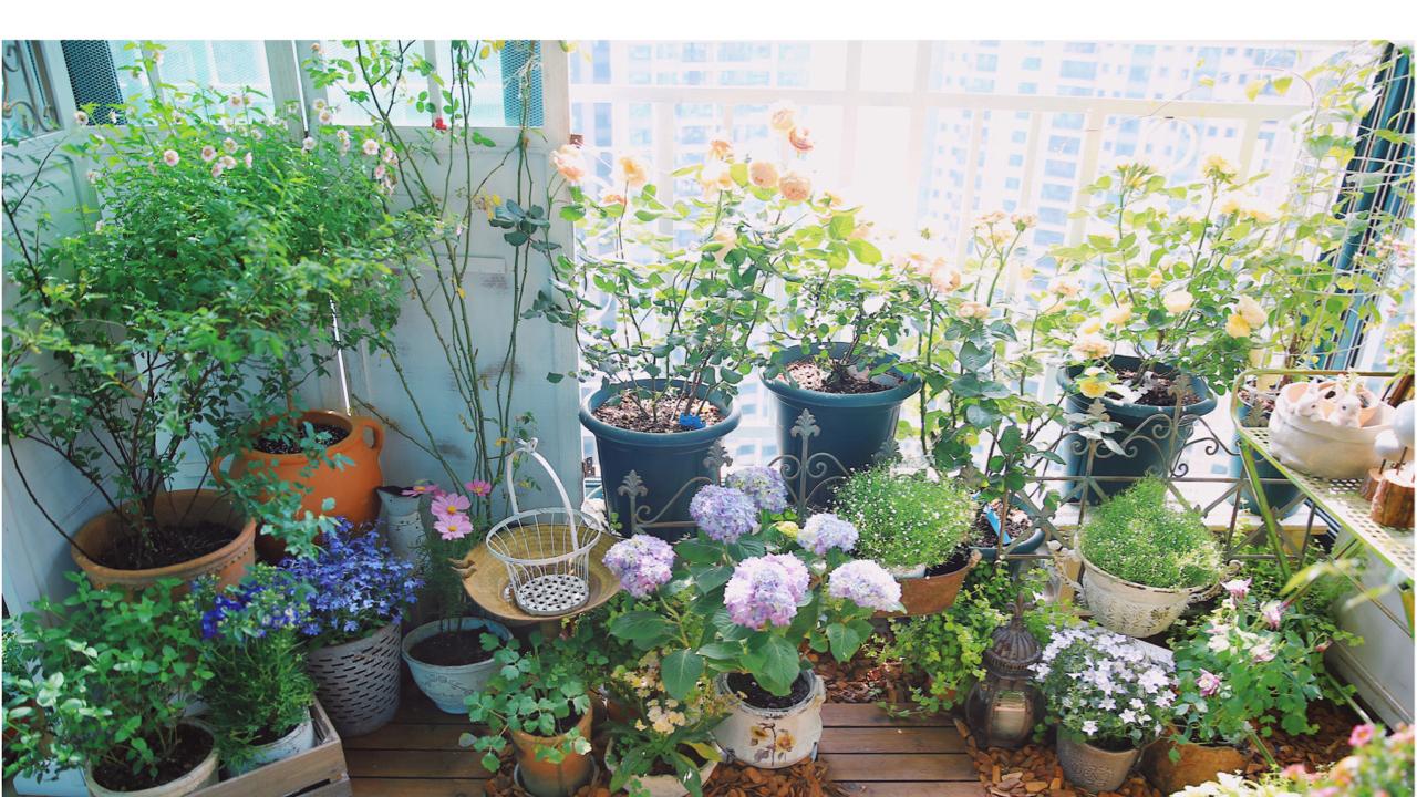 5㎡小阳台，打造治愈系小花园，一个人完成了阳台花园的所有改造