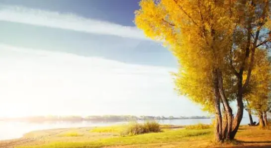 爱拾夕 当别人触碰你的底线，你最不能容忍的是什么