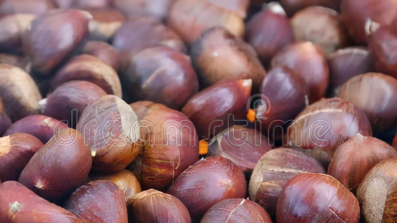 酱油|秋季少吃寒性食物，推荐多吃这5种，顺应时令，营养滋补防秋燥