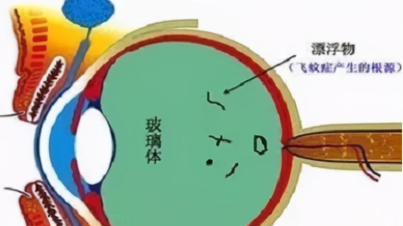 生活有书静心有术|涨知识，盘点那些在我们身上的冷知识