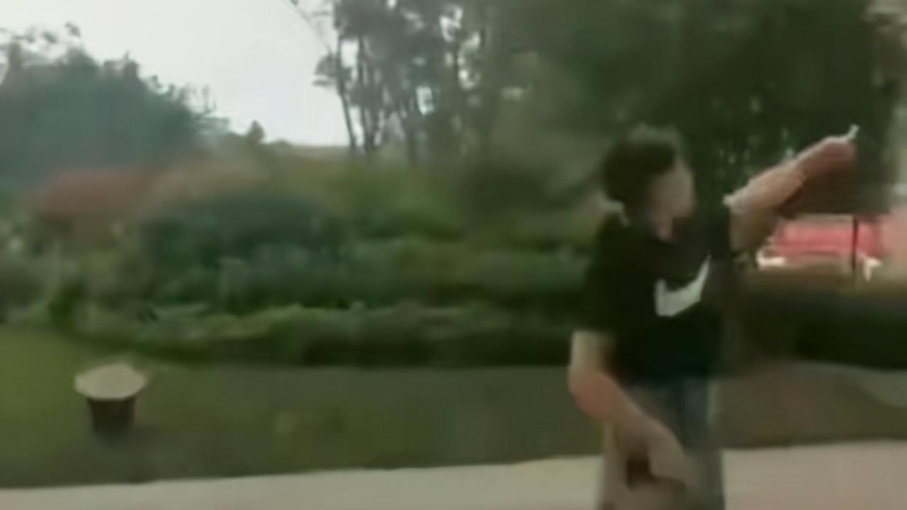 静欢情感|狗比人命值钱，是什么让“徽州宴”女人这么豪横