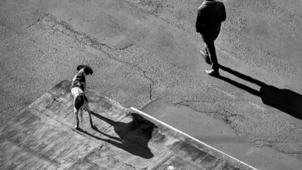 极简照怎么拍，5个技巧教你怎么拍好极简摄影！