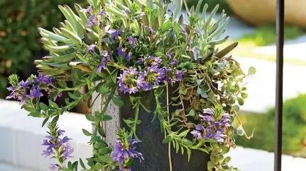 简单的DIY花盆创意