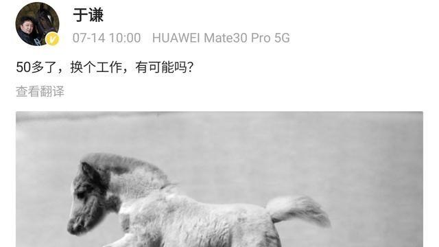 叽里呱啦的|50岁于谦要换工作？发微博引网友猜想，粉丝：“老两口”可别离了