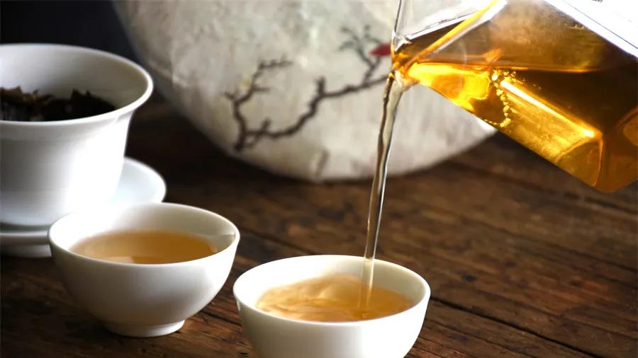 囧事|喝茶囧事：小白喝茶怎么入门？