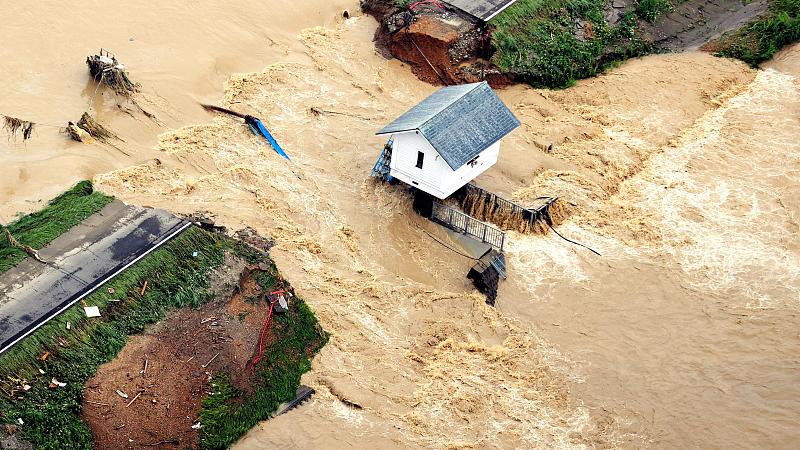 蔬菜|菜比肉贵是为何？猪肉股将迎来曙光？