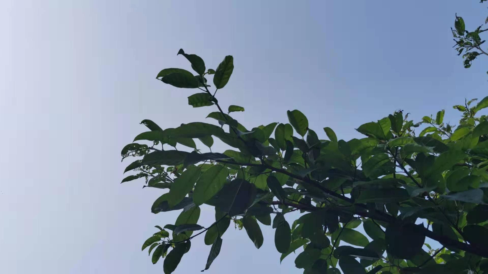 瑜峰|为什么说”不抱怨、不啰嗦”是婚姻经营的一剂良药?