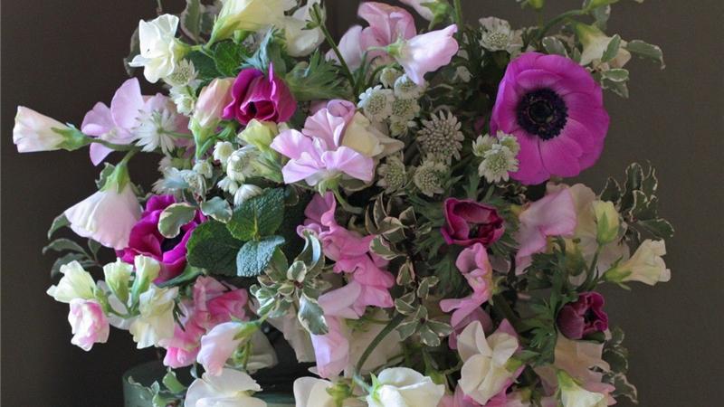 子知鱼|领导力很强的星座，光芒四射，实力惊人，遇见了得赶紧抱大腿