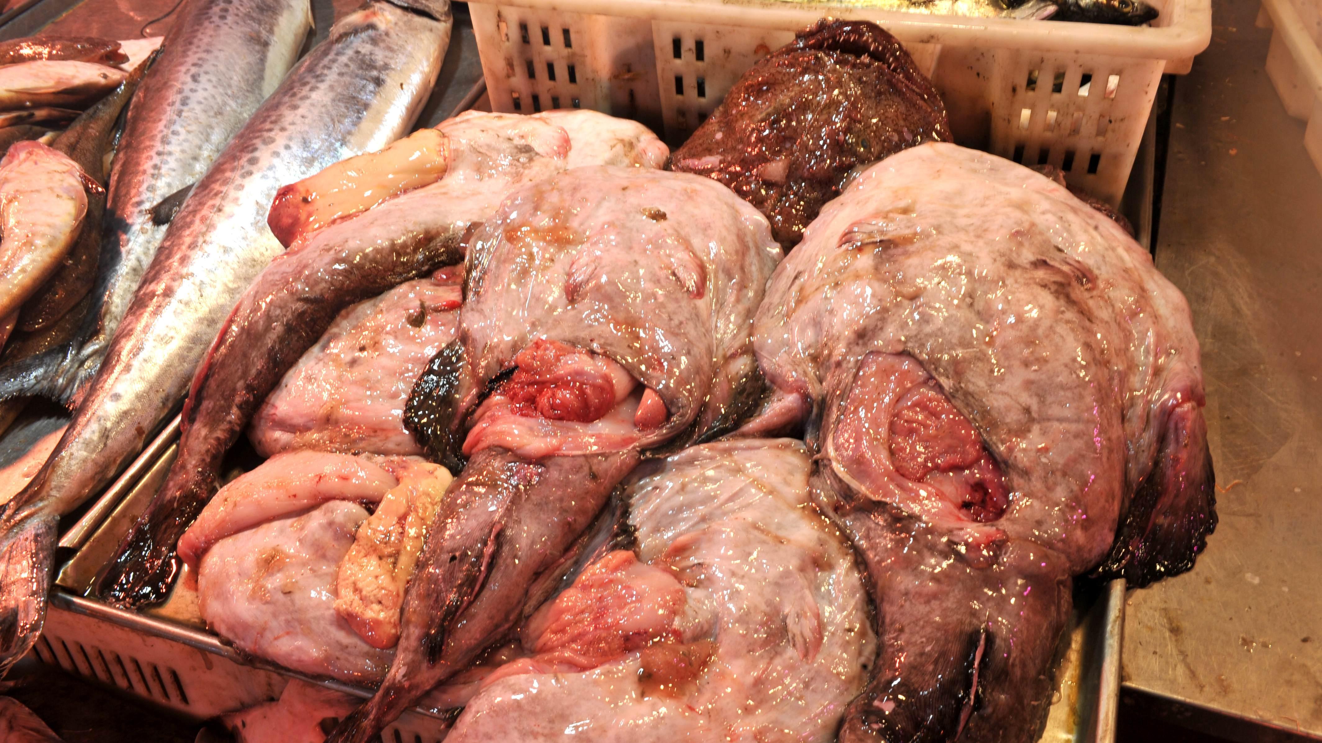 青岛市|深冬打卡青岛海鲜市场，鼓眼鱼35老板鱼17一斤，货多批发最划算