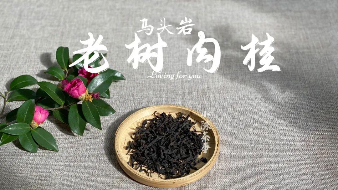 肉桂|苦等一年只为喝它一口，马头岩老树肉桂，稠滑如浆，不逊水仙之醇