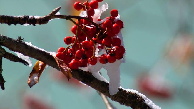 昕月蓝殇美文苑 心中有你，珍惜一生