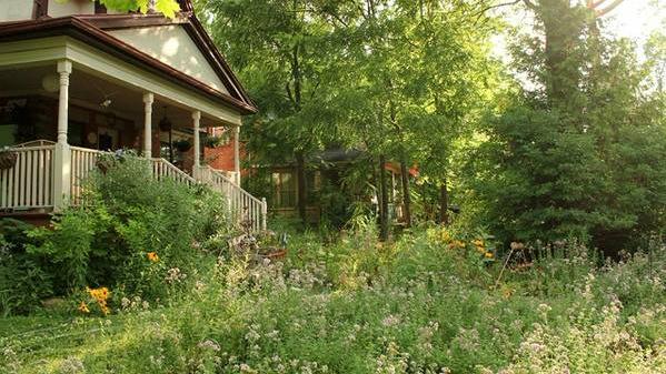 有个院子真好，待上一天都不会闷！