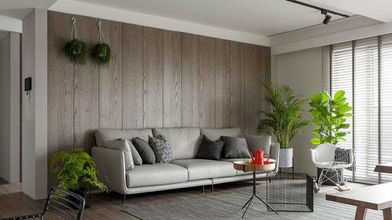 龙吟师傅来和大家说说客厅的沙发背景墙布置时要注意些什么