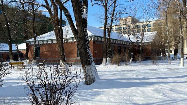 小小旅行端 东北大学雪景，老建筑在雪后更好看