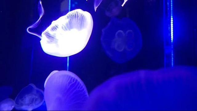 老伴儿风停夜泊聊情感|有福之人，不落无福之地：要幸福？那就这样活