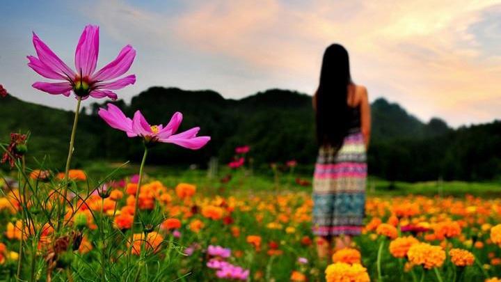 晓东梦伴|这一生，能守住这两条底线，你就赢了