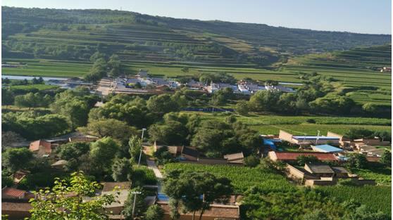 陪读时间|难忘悠江小学：我的小学早被拆除了，尽管它破旧穷酸，可怀念依旧