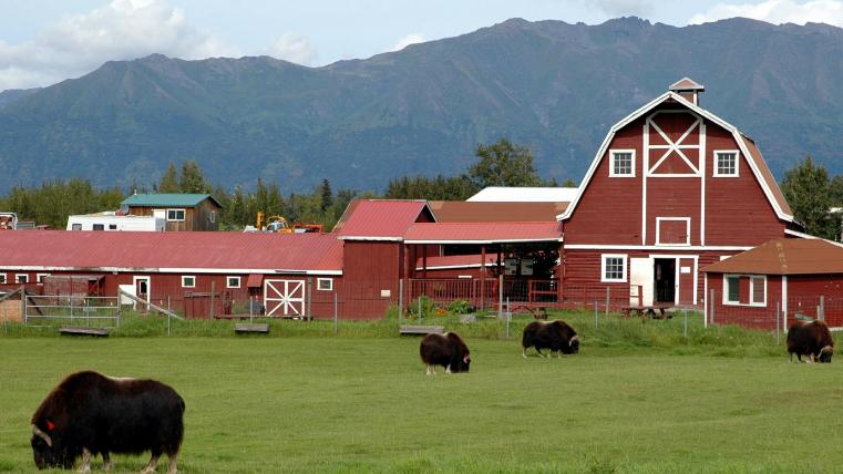 15个你不知道的冷知识，冲水的时候要不要盖马桶？